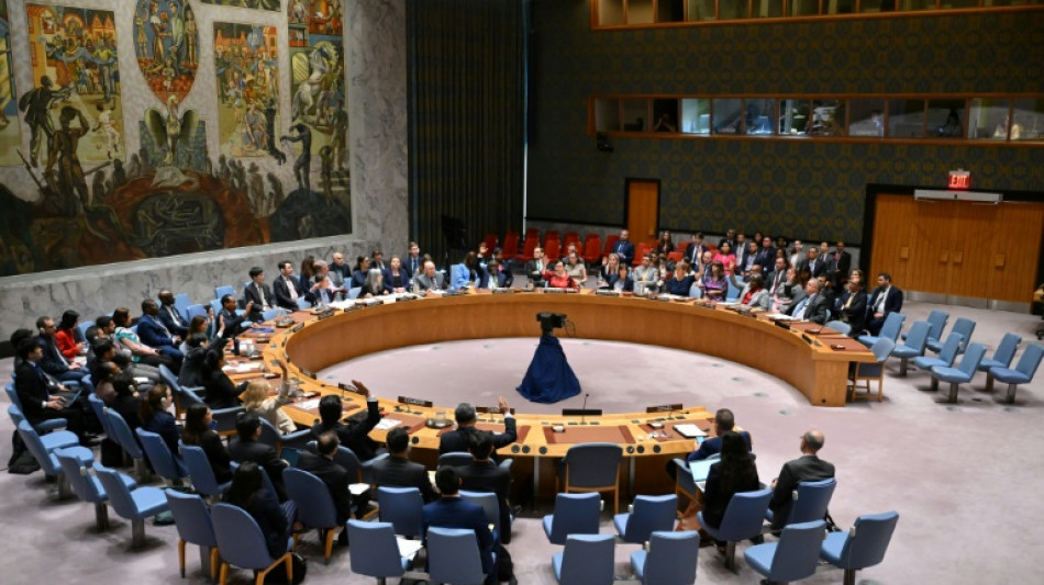 UN Sec. Council votes for US-drafted Gaza ceasefire resolution