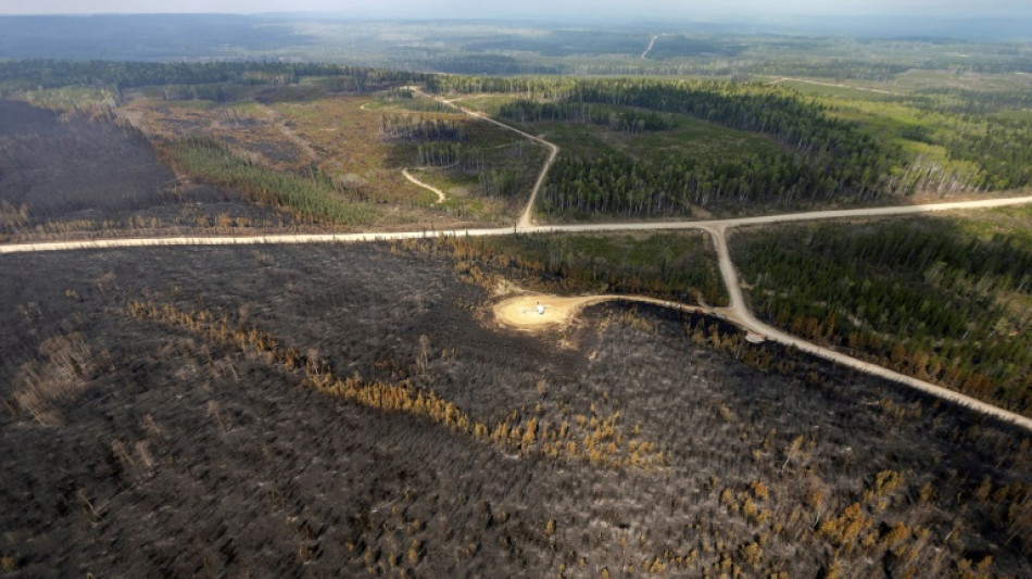 Le Canada demande de l'aide pour lutter contre des incendies qui progressent dans l'ouest