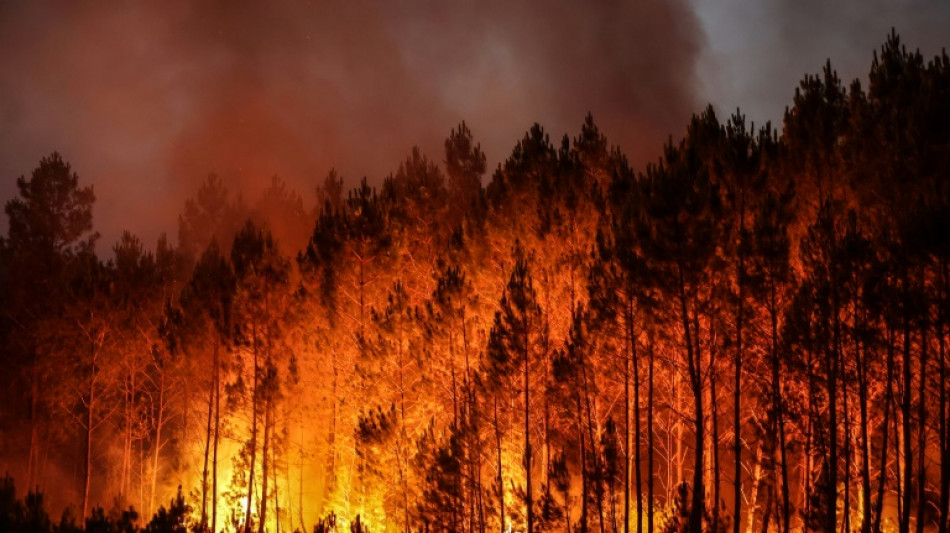 Feux de forêt: première alerte rouge de l'été dans les Bouches-du-Rhône mardi