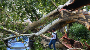 Storm brings down trees in Milan as fire closes Sicily airport