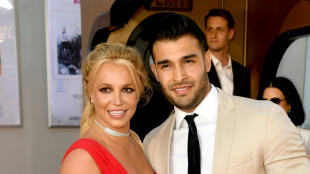 Britney Spears and partner announce miscarriage