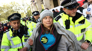 Greta Thunberg, ante la justicia británica por una manifestación por el clima