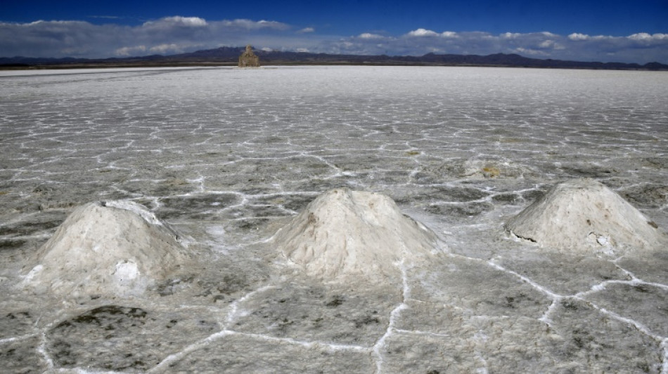 Lithium-rich Bolivia lags behind in race to mine key metal