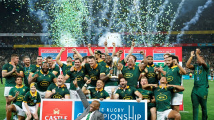 World champion Springboks to host Italy in 2025, Moerat to miss November tour