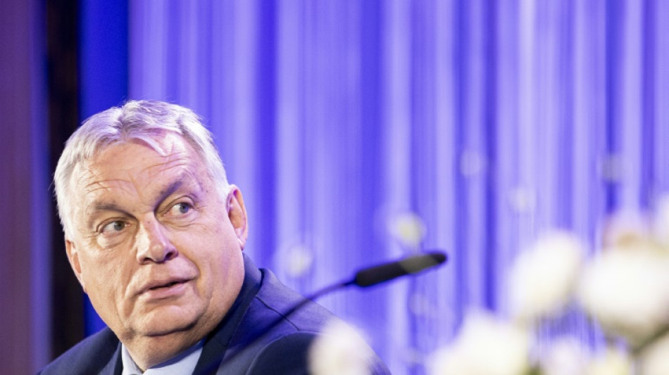 Hungary's Orban visits Ukraine with aid tensions running high