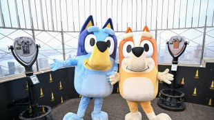 For real life? 'Bluey' coming to the big screen