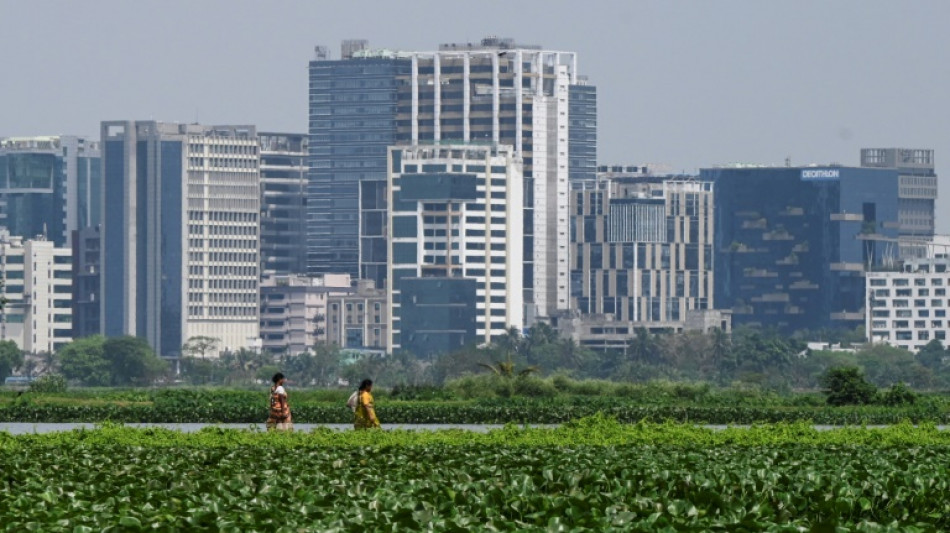 "Les reins de Calcutta", ces zones humides de l'Inde menacées par l'expansion urbaine  