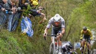 Van der Poel gewinnt Flandern-Rundfahrt - Politt Vierter