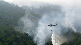 Heftiger Brand in einem der größten Nadelwälder im Libanon ausgebrochen