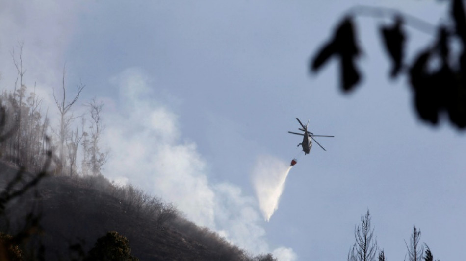 Cambio climático, sequía y crimen: el cóctel que incendia Sudamérica