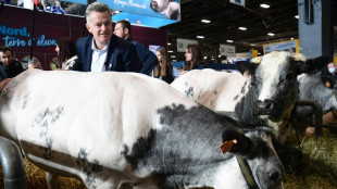 Présidentielle: les candidats au chevet de l'agriculture