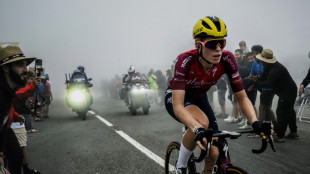 Vollering gewinnt Frauen-Tour - Bauernfeind Gesamtneunte