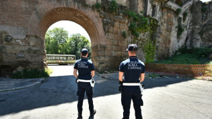 Roman gate closed after bits of ancient stone fall off