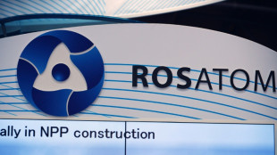 Un contrat avec le russe Rosatom pour construire une centrale nucléaire annulé en Finlande