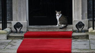 Pour Larry, le chat de Downing Street, une nouvelle cohabitation