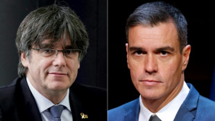 Spain: Sanchez's risky bet of a Catalan alliance