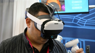 Stop and smell the metaverse roses: Virtual world on display at CES