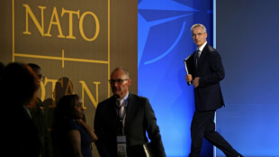 What's NATO pledged to Ukraine at the Washington summit?