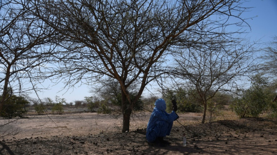 La COP15 contre la désertification s'ouvre à Abidjan 