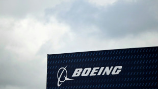 US regulator urges safety checks on some Boeing 737 rudders