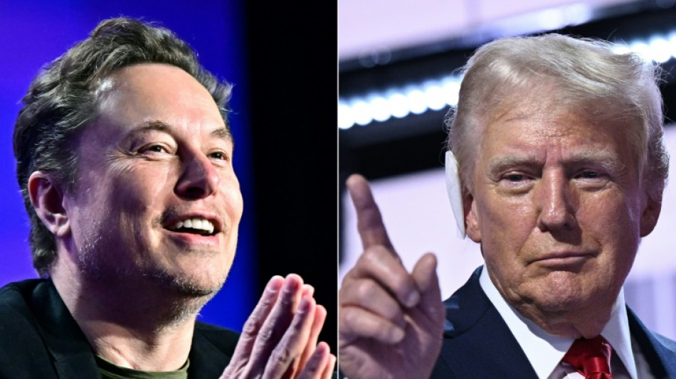 Trump taps Musk to 'save trillions' in war on waste