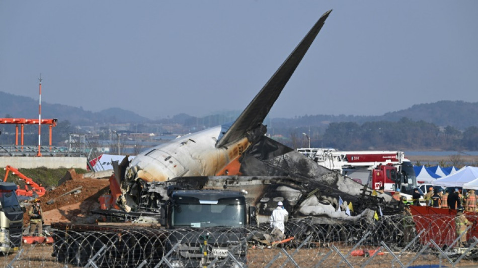 Bird feathers and bloodstains found in Jeju jet engines: report 