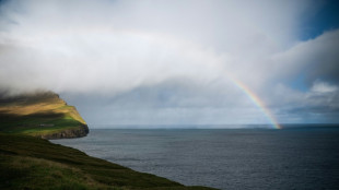 Sous l'océan, le mouvement des continents a orchestré l'évolution du vivant