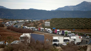 Agricultores espanhóis continuam protestos e bloqueios de estradas