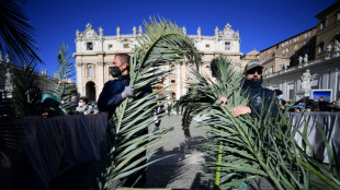 El papa pide una "tregua de Pascua" en Ucrania para "lograr la paz"