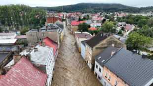 La tempête Boris sème la dévastation en Europe centrale: sept morts et des dégâts considérables