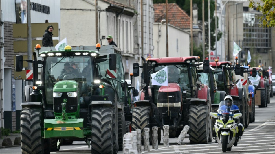 ¿Francia puede bloquear el acuerdo comercial entre la UE y el Mercosur?