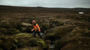 'More important than rainforests': UK pioneers peat partnership