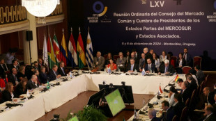 Mercosur y UE buscan sellar un TLC mientras crece el rechazo en Europa