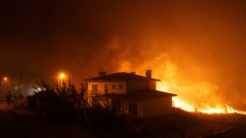 'Never seen this': Portuguese village battered by wildfire