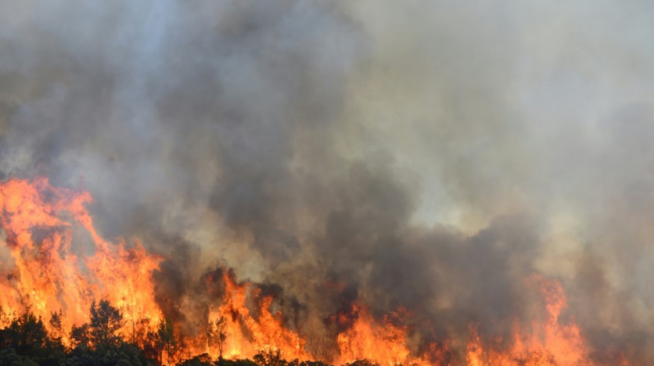 Un incendie mobilise 600 pompiers en Ardèche, le feu dans l'Hérault fixé