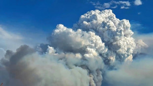 'Out of control' fires endanger wildlife in Brazilian wetlands