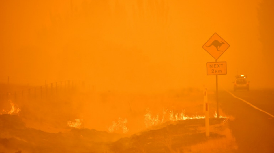 Los incendios del "verano negro" australiano afectaron la capa de ozono, dice estudio