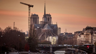 Artistes et personnalités de la culture: leur regard sur la "renaissance" de Notre-Dame