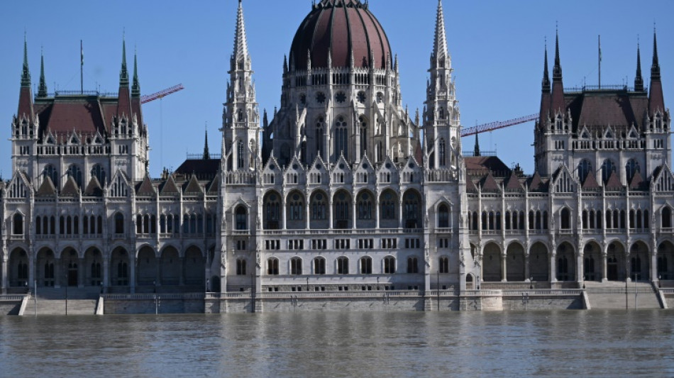 Hungary Danube waters reach decade high after Storm Boris