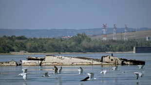 80 ans après l'opération "Danube Elf", la flotte nazie resurgit du Danube