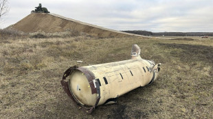 Kiev, 'almeno 30 soldati nordcoreani uccisi o feriti nel Kursk'