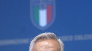 Figc, 'bozza di riforma condivisa con Pacifici'