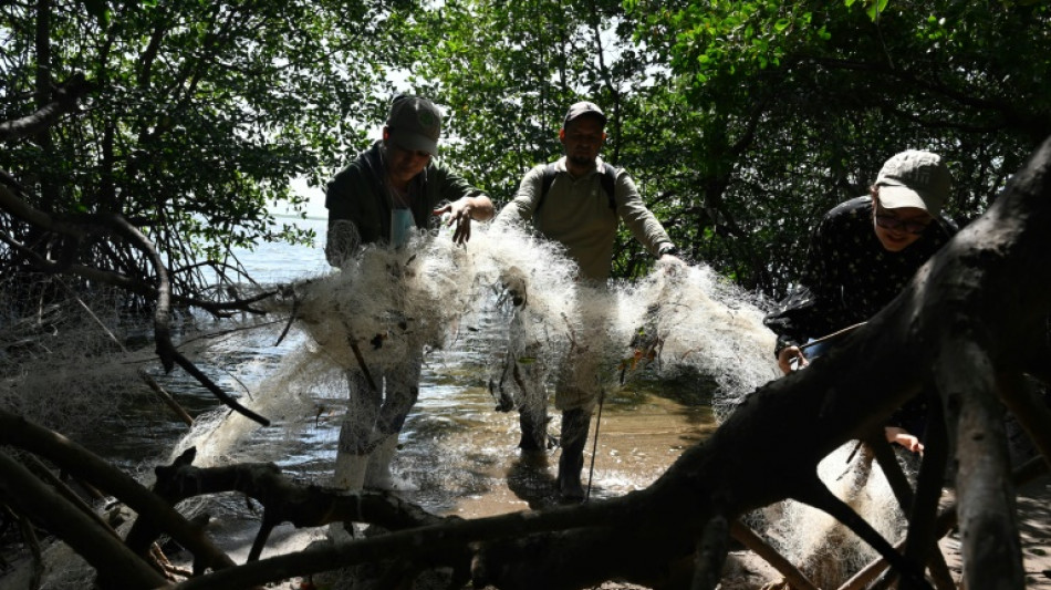 Desechos plásticos cubren santuario de aves en isla del Golfo de Fonseca