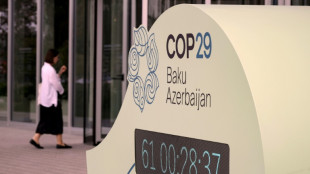 Quantum, NCQG, cebolla... la jerga de la COP29 en Bakú