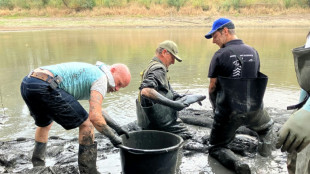 Dutch anglers save fish as Rhine drought bites