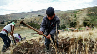 'We need information' plead Peru farmers battling drought, climate change