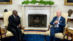 Biden, facing tempest at home, devotes time to S.Africa leader