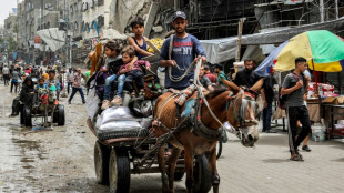 Gazans flee fresh fighting in north