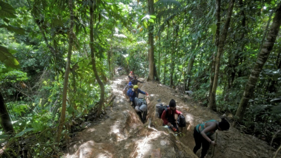 Migrants crossing perilous Darien Gap in record numbers: Panama