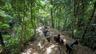 Migrants crossing perilous Darien Gap in record numbers: Panama